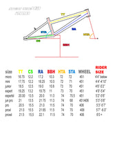 Load image into Gallery viewer, AVENT NINE43 COMPLETE BIKE