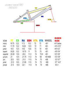AVENT NINE43 COMPLETE BIKE