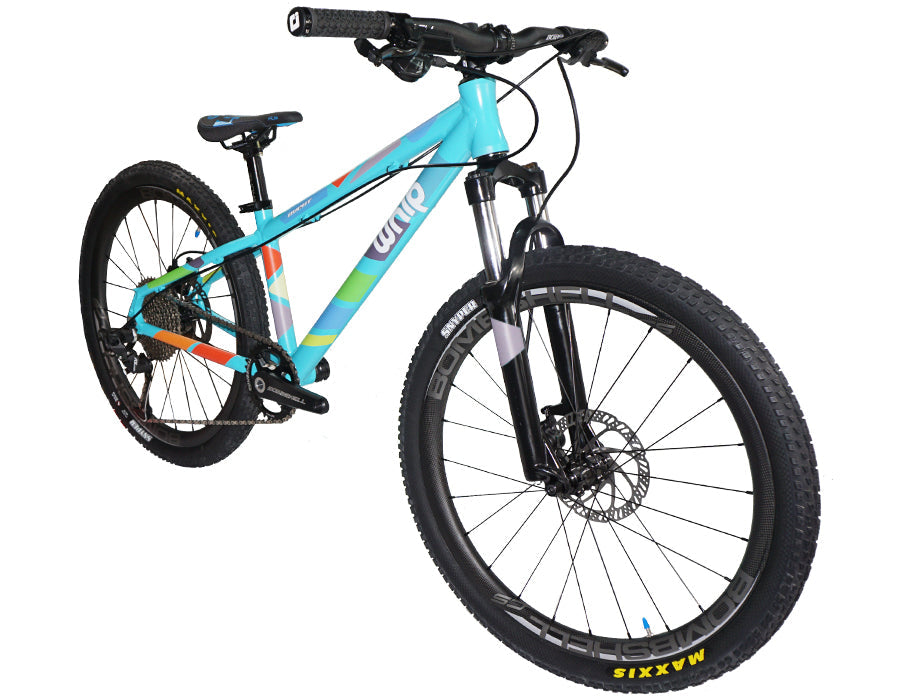 WHIP MTB 24